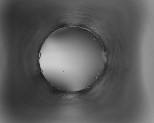 X0000089371153200706291242