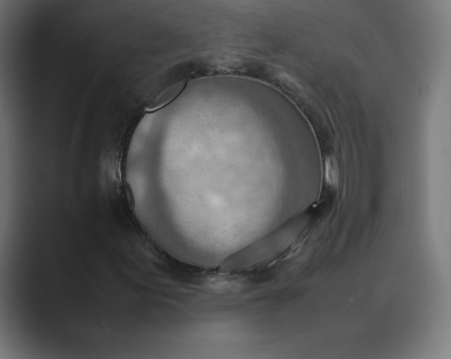 X0000089371155200706291242