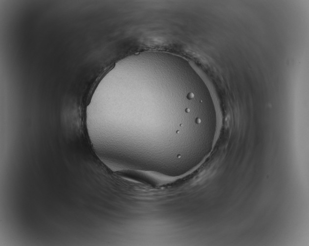 X0000089371156200706291242