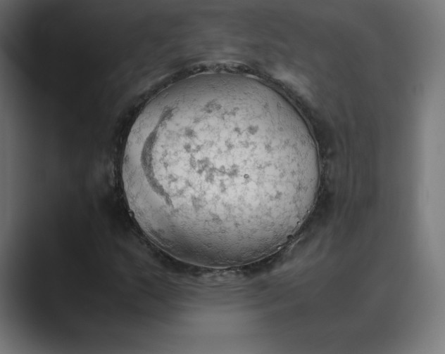 X0000089371159200706291242