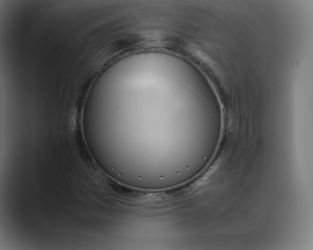 X0000089371161200706291242