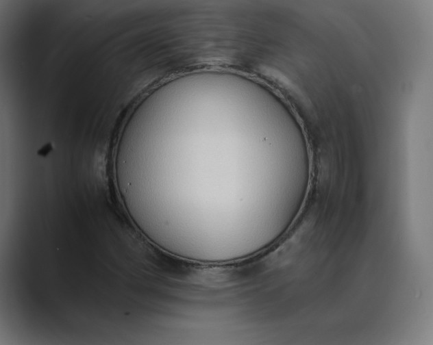X0000089371162200706291242