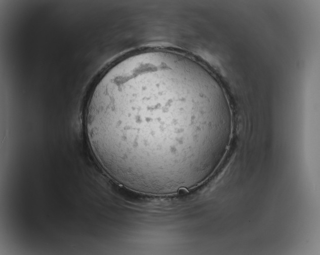 X0000089371167200706291242