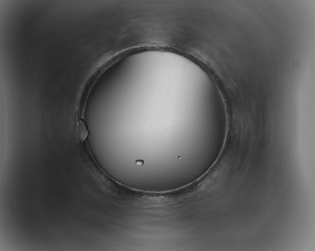 X0000089371168200706291242