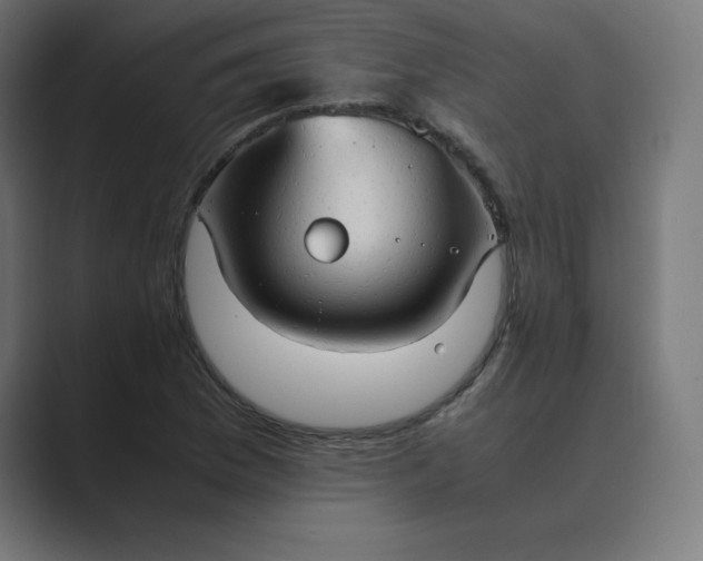 X0000089371169200706291242