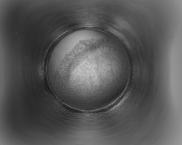 X0000089371170200706291242