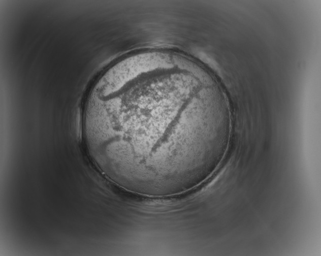 X0000089371171200706291242