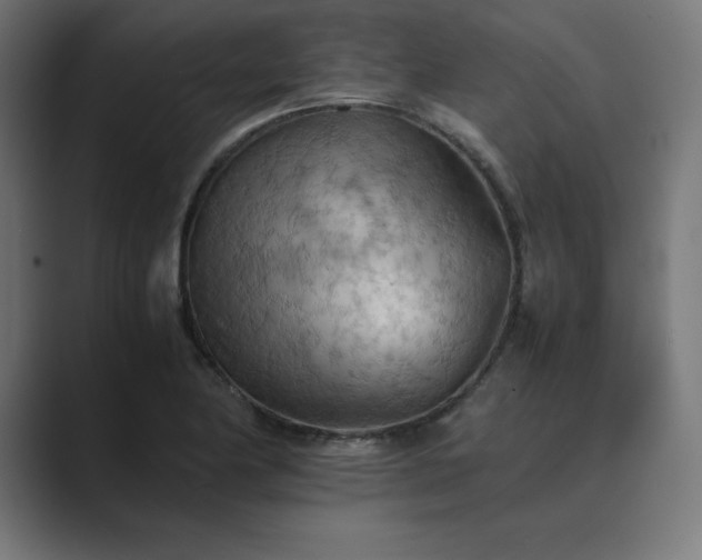 X0000089371174200706291242