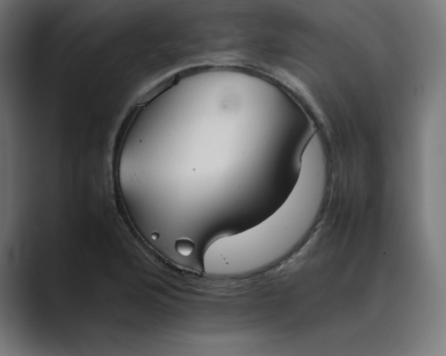 X0000089371176200706291242