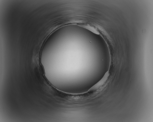 X0000089371177200706291242