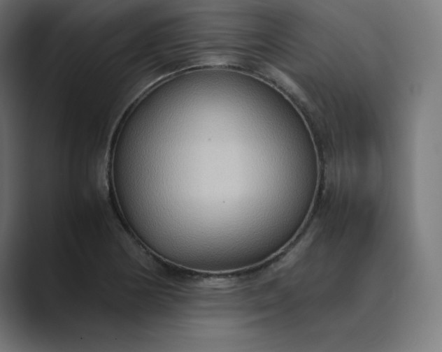 X0000089371178200706291242