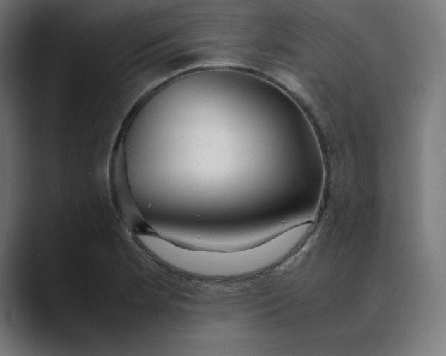 X0000089371181200706291242