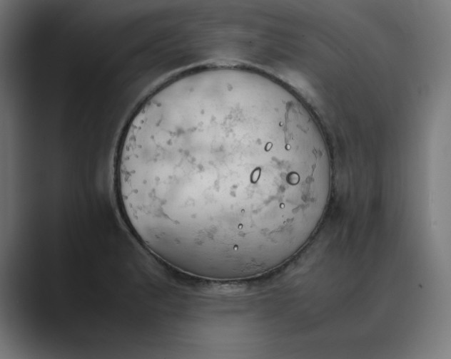X0000089371183200706291242
