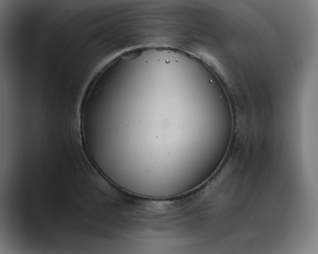 X0000089371184200706291242