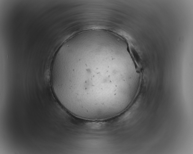 X0000089371185200706291242