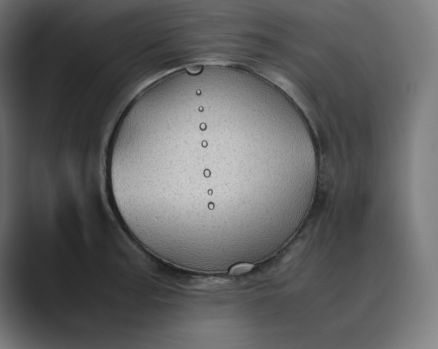 X0000089371187200706291242