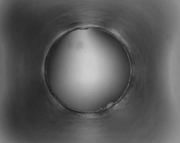 X0000089371189200706291242