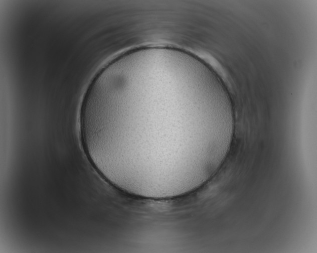 X0000089371191200706291242