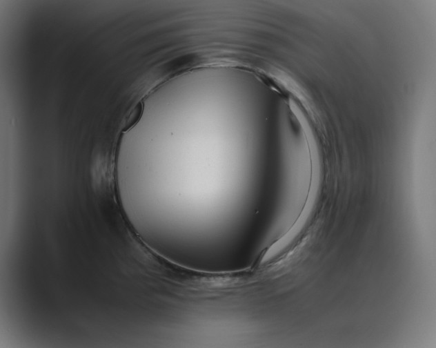 X0000089371193200706291242