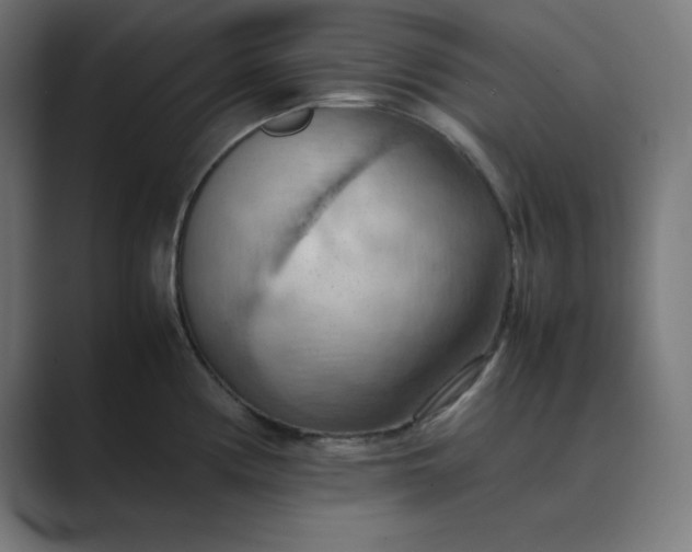 X0000089371194200706291242