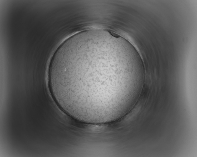 X0000089371195200706291242