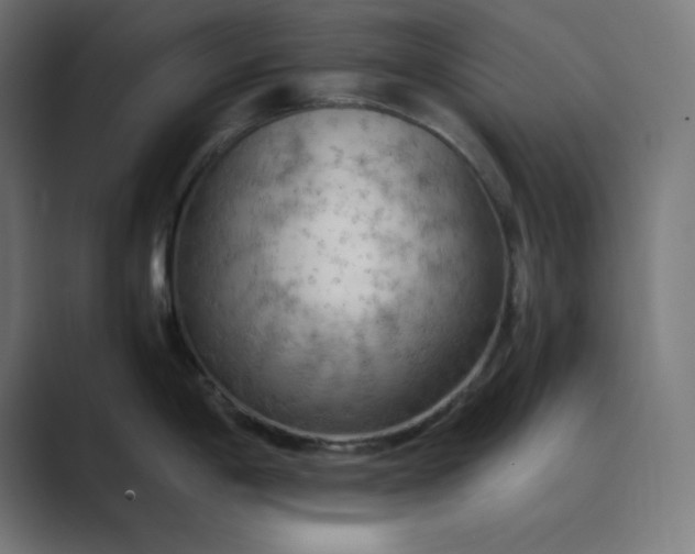 X0000089371198200706291241