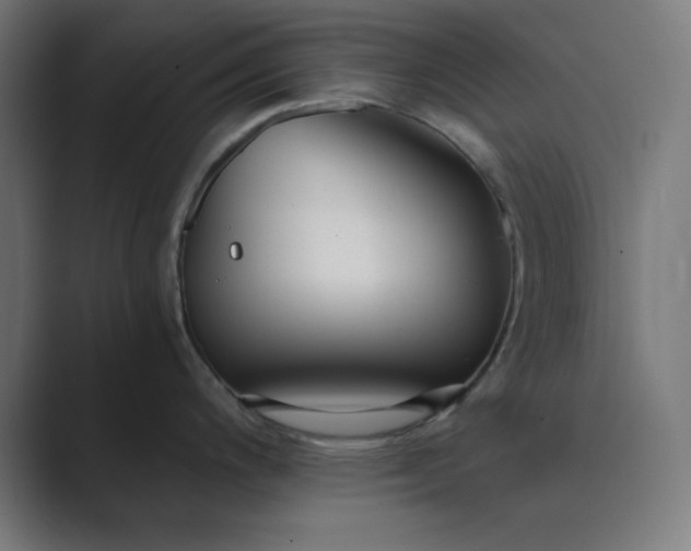 X0000089371200200706291241