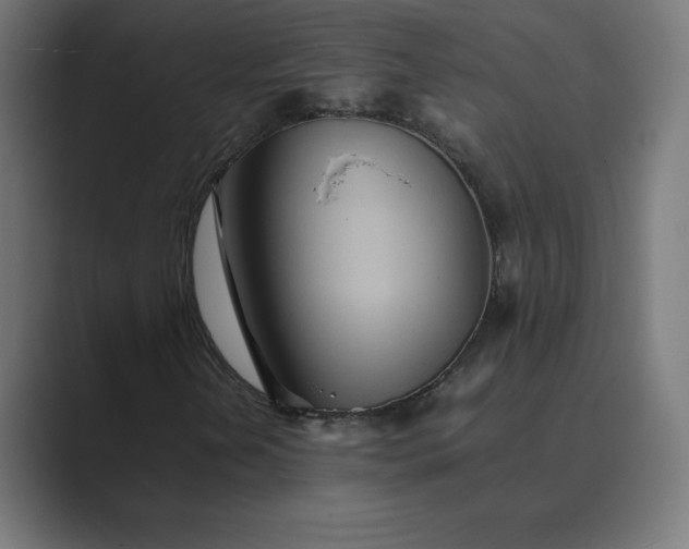 X0000089371202200706291241