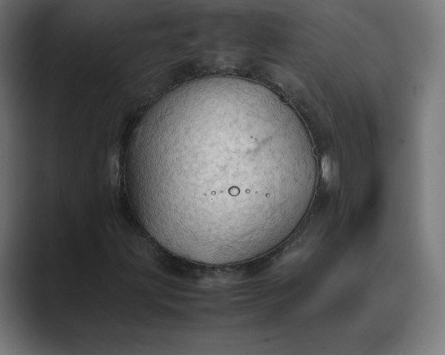 X0000089371203200706291241