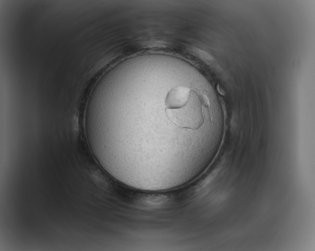 X0000089371209200706291241