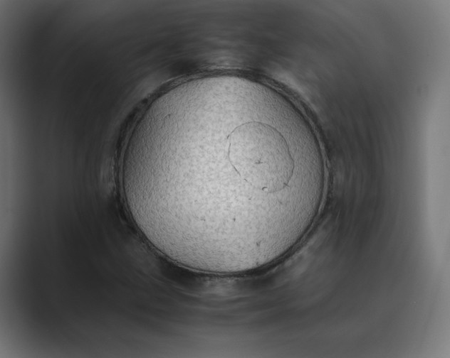 X0000089371211200706291241