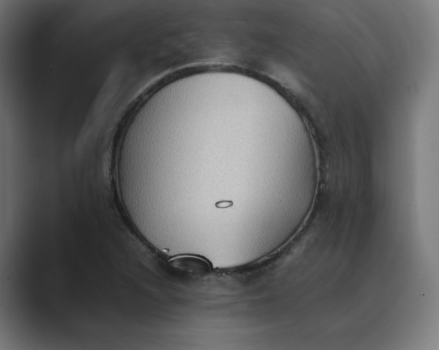 X0000089371216200706291241