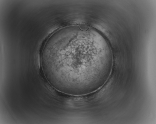X0000089371219200706291241