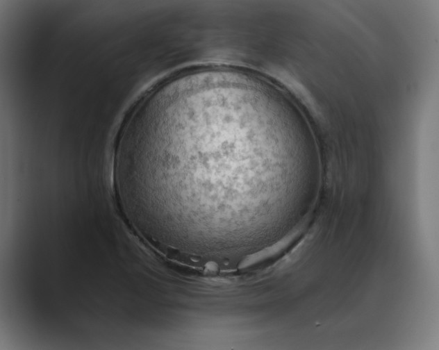 X0000089371224200706291241