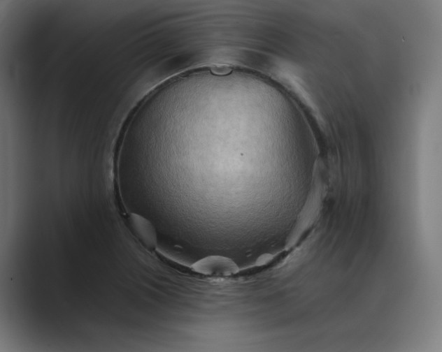 X0000089371226200706291241