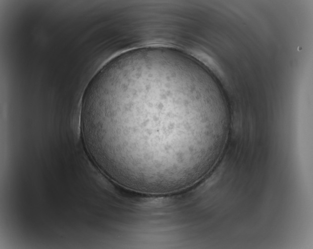 X0000089371228200706291241