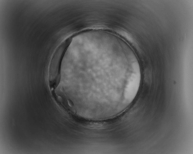 X0000089371229200706291241