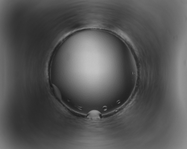 X0000089371230200706291241