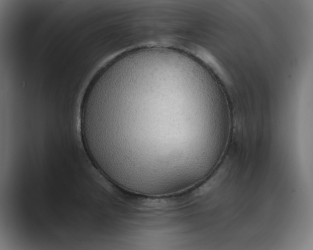 X0000089371232200706291241
