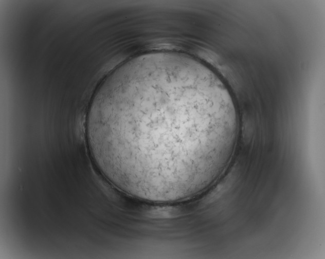 X0000089371233200706291241