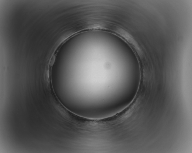 X0000089371234200706291241