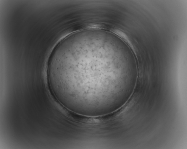 X0000089371235200706291241