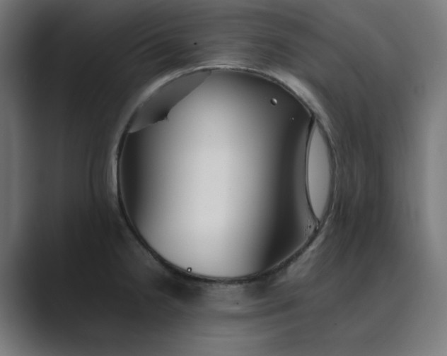 X0000089371238200706291241