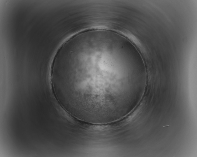 X0000089371240200706291241