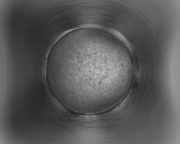 X0000089371244200706291241