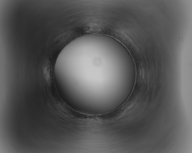 X0000089371250200706291241