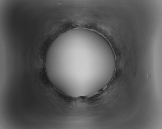 X0000089371253200706291241
