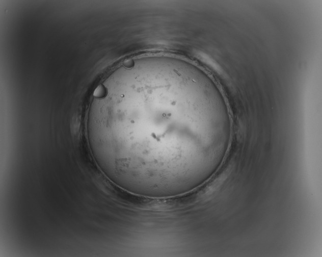 X0000089371259200706291241
