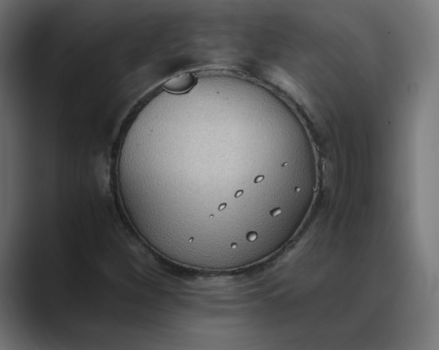 X0000089371260200706291241