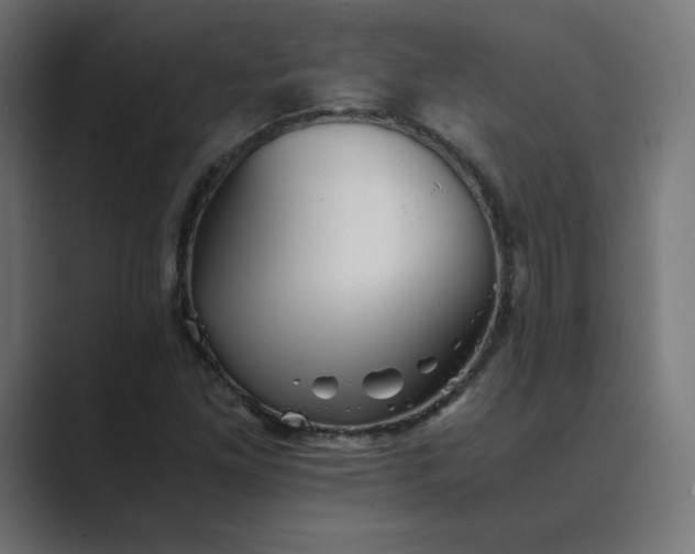 X0000089371261200706291241